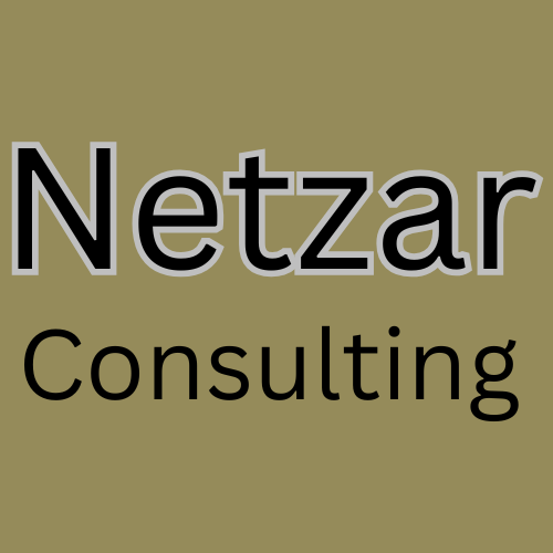 Netzar Consulting Logo